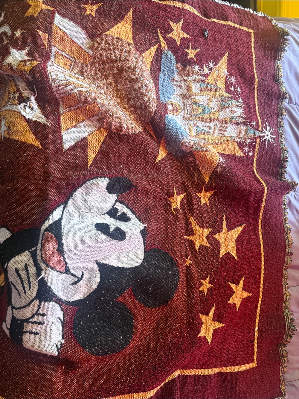 Disney world blanket - Picture 2 of 2